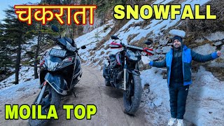 MOILA TOP CHAKRATA Chakrata Snowfall Chakrata Uttarakhand |Lokhandi Snowfall Chakrata snowfall 2024