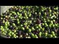 California Olive Oil - America's Heartland