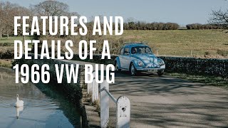 Features of a 1966 VW Beetle