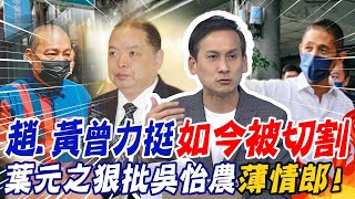 趙、黃曾力挺如今被切割  葉元之狠批吳怡農\