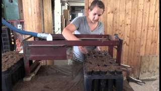 Seeding at the CSFS Nursery