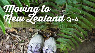 Moving to New Zealand Q&A 13 | A Thousand Words