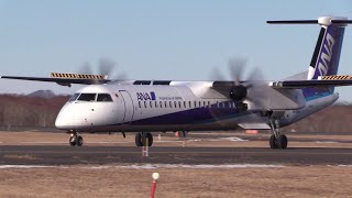 24/12/29 釧路空港 ANAウイングス  DHC-8-Q400 (JA843A) Departure from Kushiro Airport, RJCK