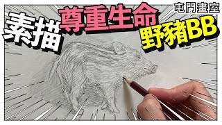 素描野豬BB尊重生命【屯門畫室】Sketch wild boar BB respects life (Eng sub)