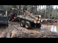 logging with a zetor 5245 tractor and log trailer hauling 2 cord of spruce logs