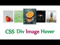 Div Box Image Hover | Html, Css image card hover effect