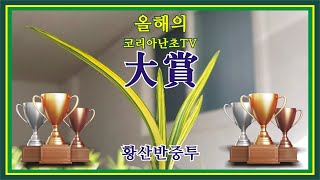 올해의 대상 한국자생춘란 중투와 황산반중투, 젓가락단엽, 서반단엽 등 한해를 빛낸 난초들을 모아서 총결산을 해봅니다.