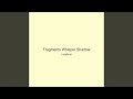 Fragments Whisper Shadow