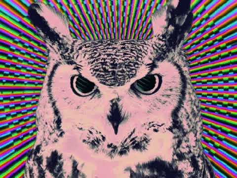 The Mind Project Youtube Music