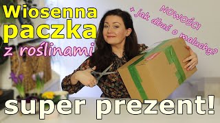 💚  MEGA ciekawe NOWE  rośliny! 💚 UNBOXING 💚  prezent od Mateusza z kanału Roślinna Dżungla