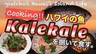 [ gietcho’s Hawai’i Island Life ] ハワイの魚 Kalekale を捌いて食す