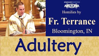 The Snare of an Affair - 6th Commandment, Part 9 - Jun 27 - Homily - Fr Terrance