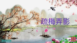 YPT09《疏梅弄影》心靈音樂｜休閒音樂｜佛教音樂｜禪修音樂｜太極拳背景音樂＞無痕加長珍藏版