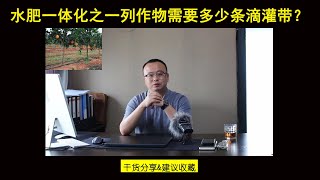 第85集：有的作物一列需要多条滴灌带？Do some crops require multiple drip irrigation tapes per row?