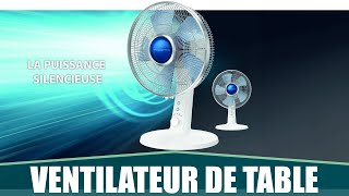 LE MEILLEUR VENTILATEUR DE TABLE - Rowenta Turbo Silence Extrême+