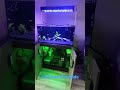 Aquarium automations