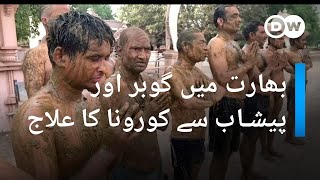 بھارت میں گوبر اور پیشاب سے کورونا کا علاج | DW Urdu