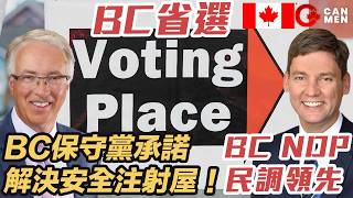 選舉來了懶人包 2024卑詩省選 政黨政策、民調分析、安全注射場所議題 | 選民須知重要資訊