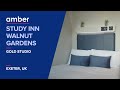 Room Tour Gold Studio | Study inn Walnut Gardens | Student Accommodation in UK | amber