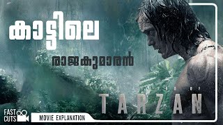 കാട്ടിലെ രാജകുമാരൻ Tarzanടെ  രോമാഞ്ചം കൊള്ളിക്കുന്ന കഥ | The Legend Of Tarzan Explained In Malayalam