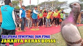 full Galatama semifinal dan final merpati balap nasional jakarta 1 NOV 2024