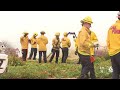 Dog and owner rescued after fall off cliff in Shell Beach