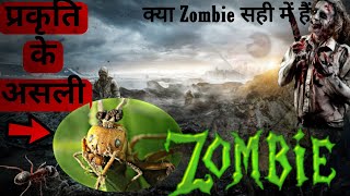 क्या Zombies सच में होते है ? | Zombie Kaise Bante Hai | Zombie The Living Dead | Zombie In Hindi