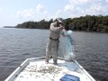 Shrimping On The St. Johns River Florida