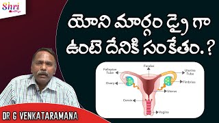 యోని మార్గం డ్రై గా ఉంటె దేనికి సంకేతం.? || Dr G Venkataramana Sexologist || Shri Tv Arogyam