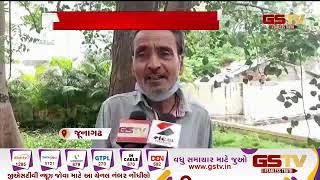 Junagadh : 21 કરોડના ટ્રાન્જેક્શન અંગે આવકવેરા વિભાગની નોટિસ | Gstv Gujarati News