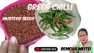 Hangam maru morok ki achar ||How to make musterd seeds n green chilis pickle||