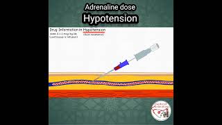 ADRENALINE (Epinephrine) DOSE in HYPOTENSION #pediatrics #medicine #epinephrine