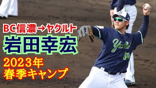 岩田幸宏！(ＢＣ信濃→ヤクルト)２０２３年春季キャンプ！