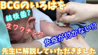 【生後5か月】BCG《ハンコ注射》を打ちました