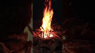 FIRE IN THE WOODS #adventure #arkansas #camping #outdoors #überleben #fire #relaxing