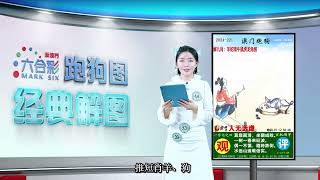 第221期 --【新澳门跑狗图】白小姐精准解图带你飞😎✨