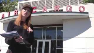 Southwest Support - Funeral Shipping on Airlines
