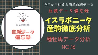 【種牡馬データ分析】No.16イスラボニータ産駒徹底分析！注目新種牡馬の現状での傾向を分析します！