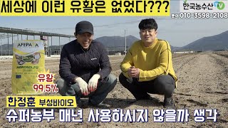 [한국농수산TV] 슈퍼농부가 감자농사에 선택한 순도 99.5% 유황을 아십니까? 경북 구미