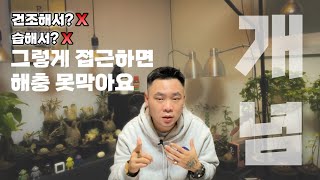 응애 뿌리파리 깍지벌레 해충 발생의 원인 다시 생각해보셔야 합니다