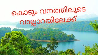 കൊടും വനത്തിലൂടെ വാൽപ്പാറയിലേക്ക്‌ ( Valparai Nature Beauty)