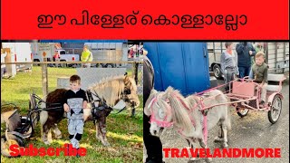 പിള്ളേരുടെ കുതിര സവാരി Kids on Pony’s -Ballinasloe Horse Fair