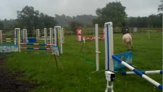 Jord And Blue Eyed Boy (Caverswall And District Show) Intermediate Class