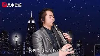 电吹管演奏情感歌曲《伤心城市》，旋律悠悠，听哭多少痴情人