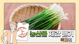 농산물 제값 받기 프로젝트 (쪽파) 🌿