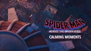 Spider-Man: Across the Spider-Verse | Calming Moments | Sony Animation