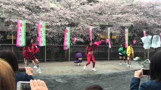 中目黒 桜祭り EXPG東京校 ラビバニパート