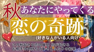 この秋🍂あなたにくる恋の奇跡💖展開（好きな人がいる人向け）【タロット 占い 恋愛】この秋のお相手の気持ち❤️ふたりに起きる素敵な恋模様❤️幸運のサインは？！