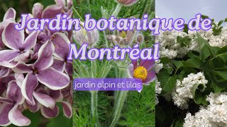 Promenade au jardin botanique de Montréal - printemps 2024 #flowers #botanicalgarden #montreal