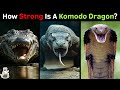 How Strong is a Komodo Dragon Compared to Other Reptiles?